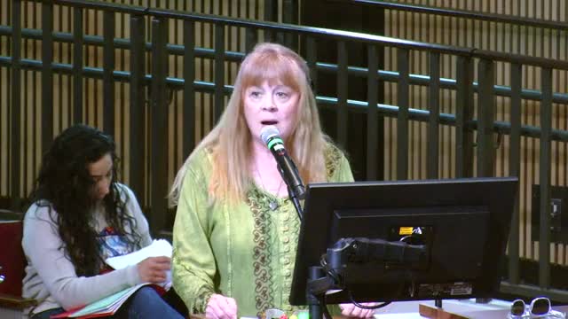 Speakers at Phoenix budget hearing describe shelter needs, report police destruction of homeless property