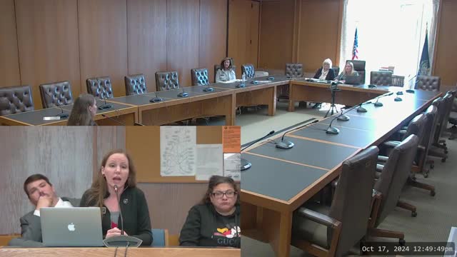 Advocate calls for overhaul of child services and due process reforms for DCYF