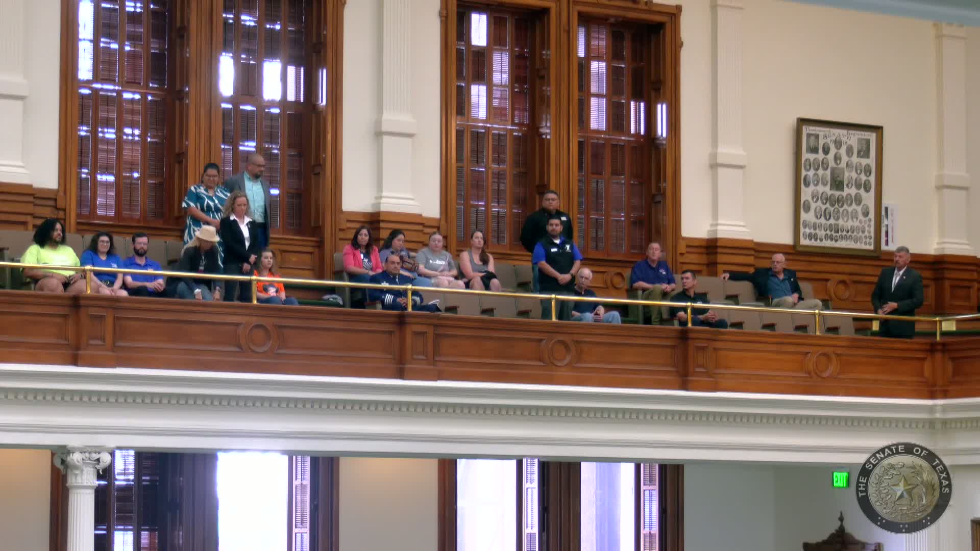 Texas Senate adopts resolution for May 2025 as Mental Health Awareness Month