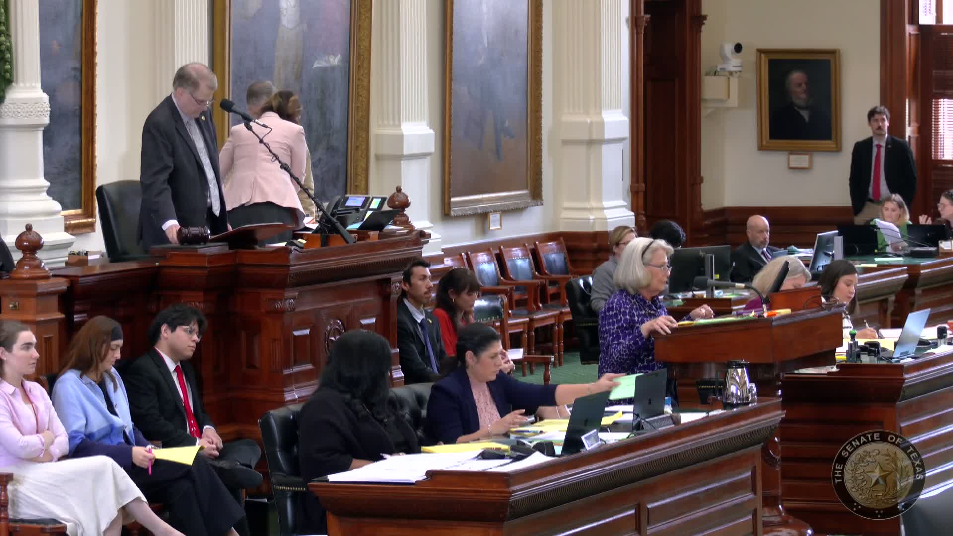 Senate approves rule requiring most Medicaid nursing-facility dollars be spent on direct care