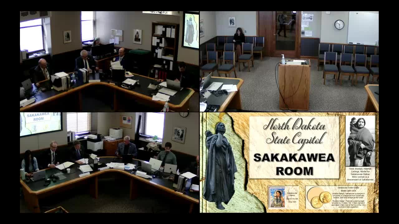 Conference committee backs House amendments to SB2256 after debate over 50% match