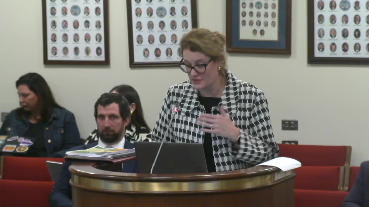 South Carolina committee examines student absenteeism and graduation readiness challenges