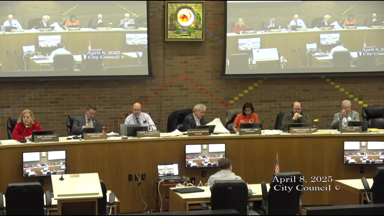 Council weighs hiring firm for budget analysis amid looming tax increases