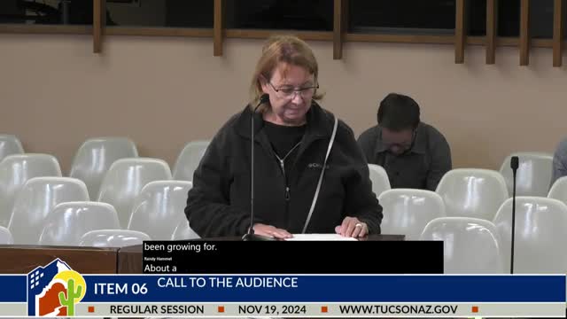 Residents address Tucson City Council over dangerous encampment and fire safety issues