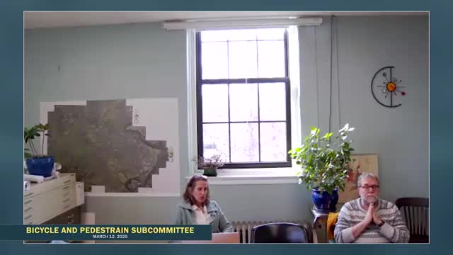 City Disabilities Commission delays sidewalk policy recommendation due to Zoom meeting glitch