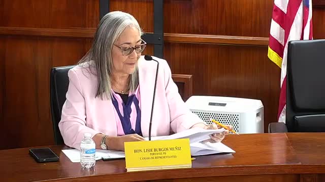 Gisela Rosario outlines emergency training workshops for care homes in Puerto Rico