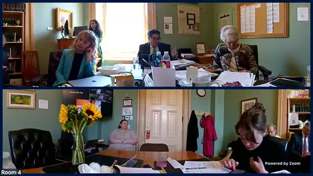 Senate committee reviews broad election-law package; debates audits, ballot order, registration and candidate name rules