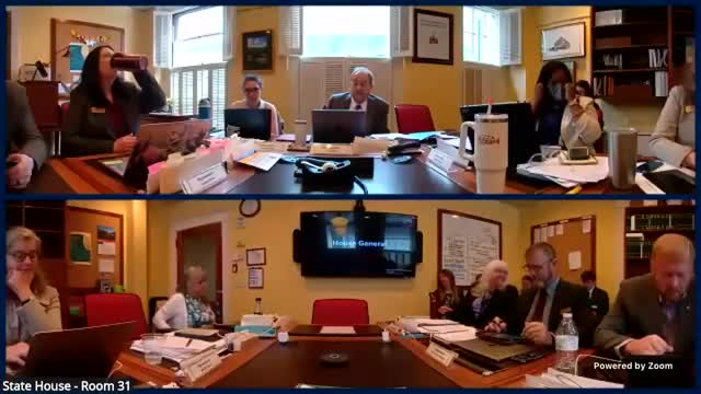 House General and Housing committee reviews strike‑all draft of S.127 and aims for quick referral to Ways and Means