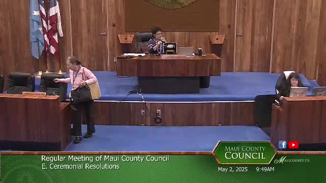 Brian Saracen criticizes Young Brothers monopoly during Maui County Council testimony