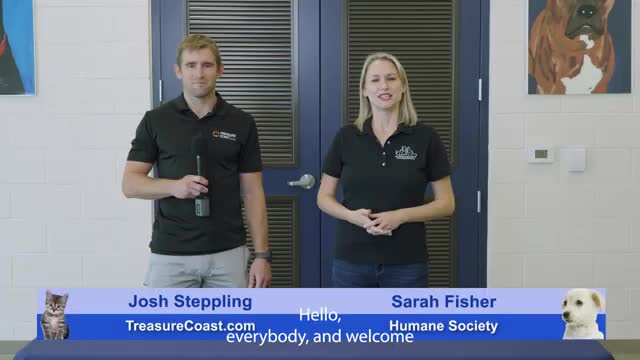 Palm City shelter showcases dozens of adoptable animals, asks community for fosters and clinic bookings