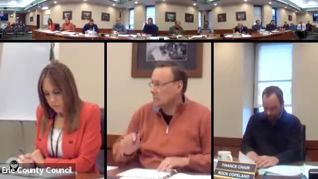 Council questions $125,000 release from restricted probation fees to buy additional tasers and pay existing installment