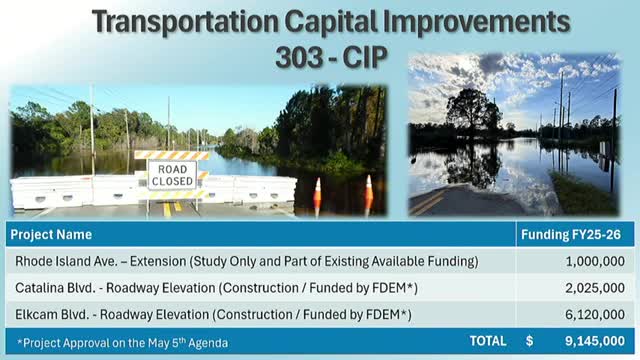 Deltona budget includes Catalina and El Cam elevation studies; bridge option and culvert sizing debated