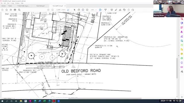 Council discusses removal of invasive Norway maple for native tree replacement