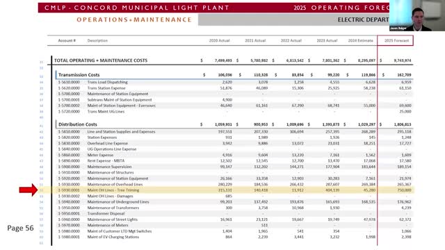 City council evaluates restructuring CARES funding for energy management programs