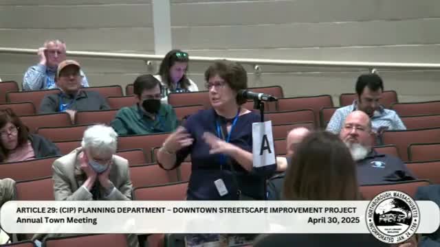 Northborough resident urges prioritization of essential town improvements over beautification projects