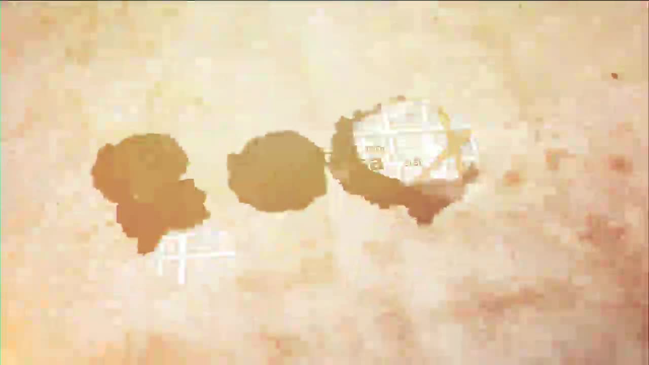 Tulsa officials outline strategies to coexist with urban coyotes