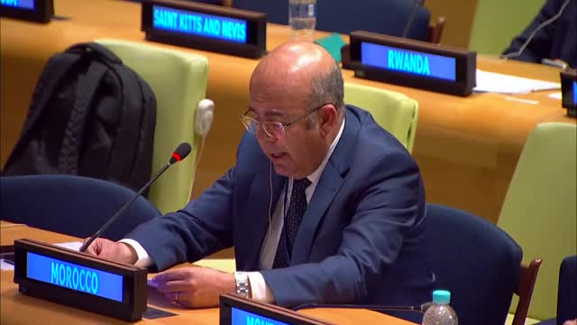 Morocco unveils new forestry governance model to tackle forest loss and promote sustainability