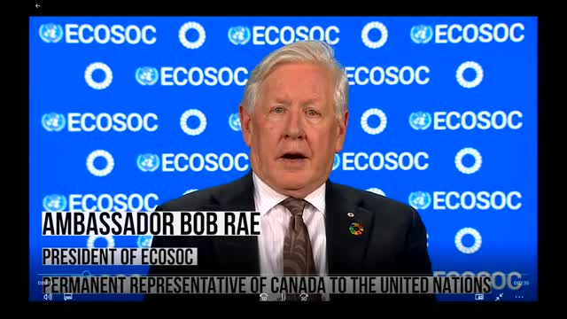 UNFF 20 highlights urgent need to address global forest conservation challenges
