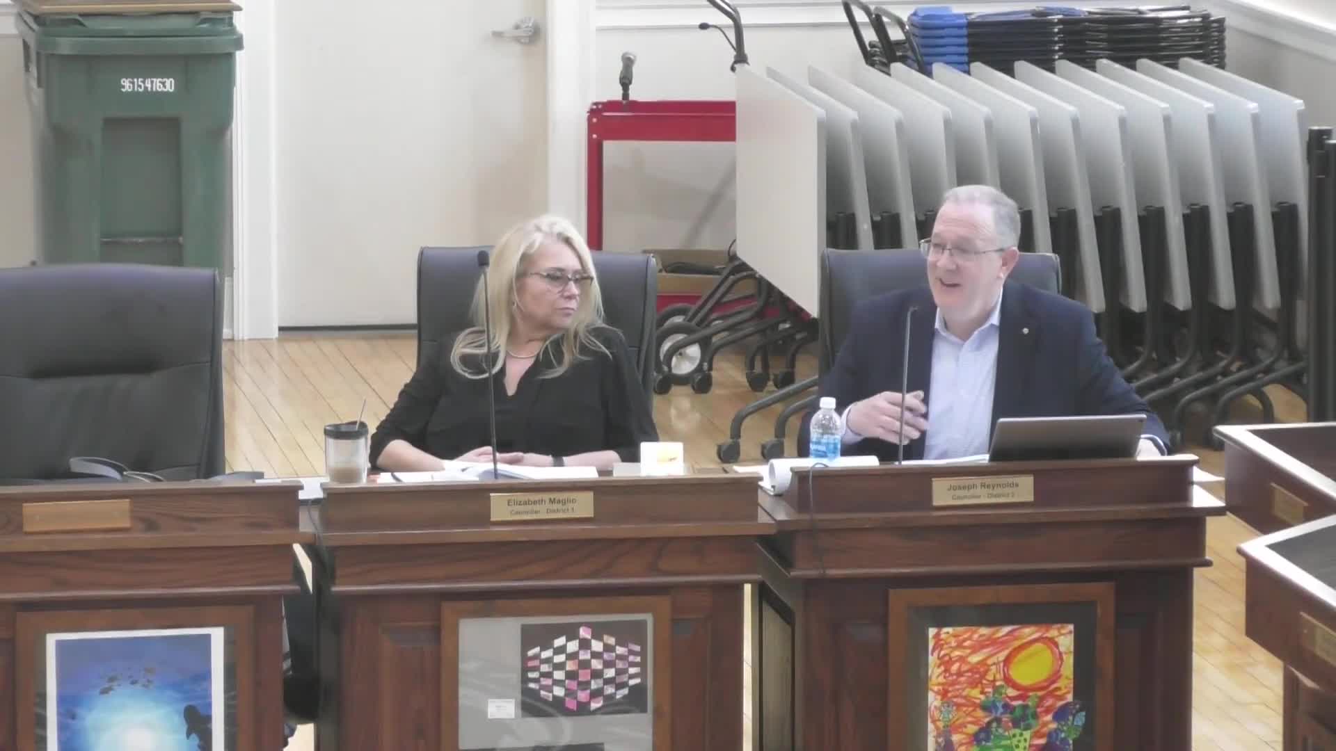 Library Director Stano highlights funding challenges at Braintree Library meeting