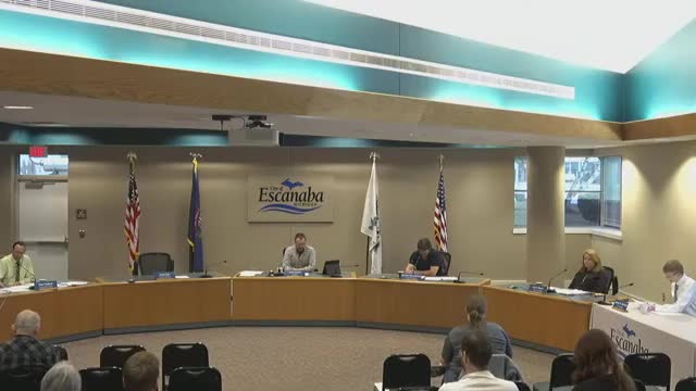 Council removes Planning Commission member after public hearing on absences