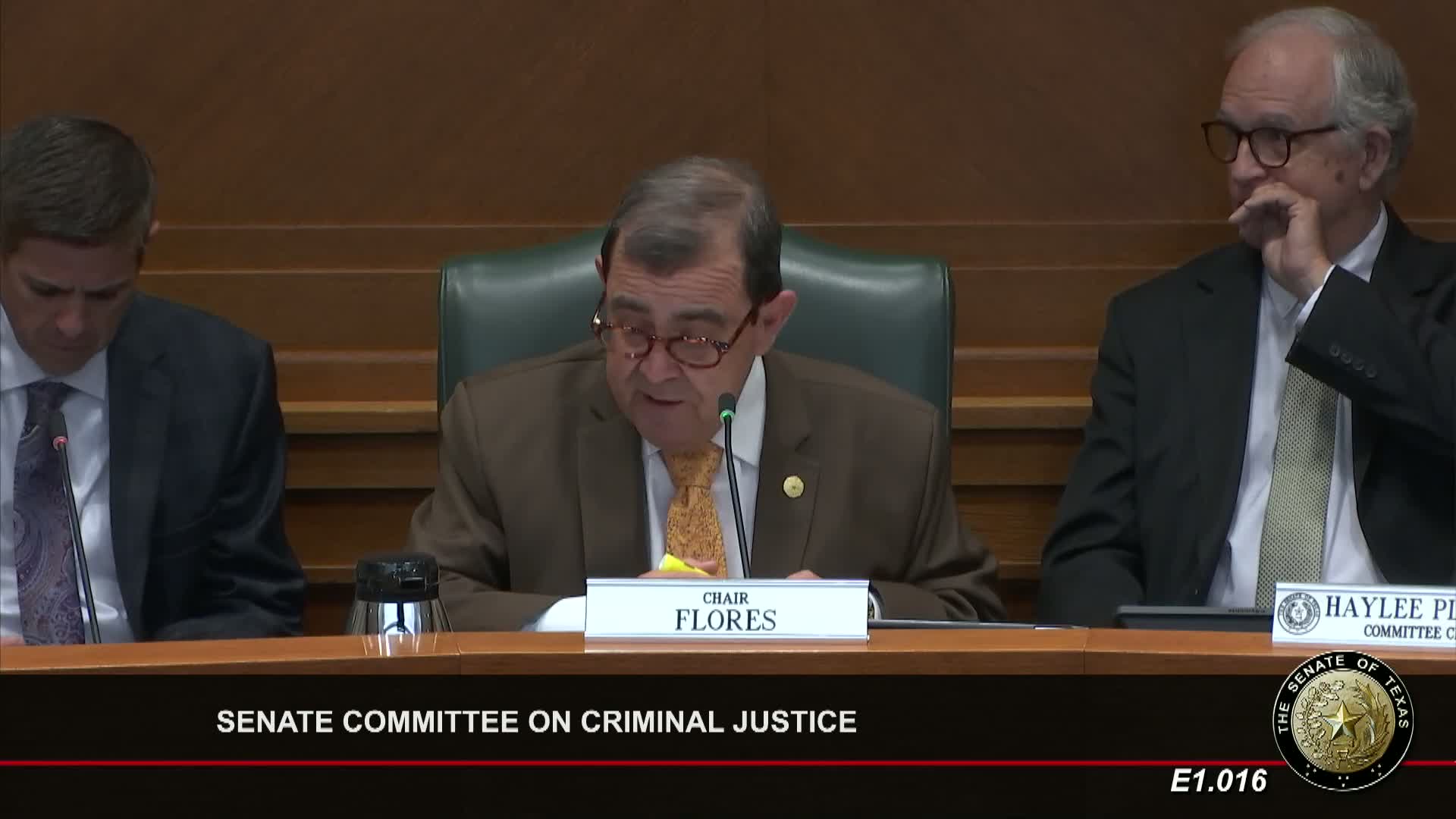 Senate committee hears bill to let managed assigned counsel access confidential juvenile records