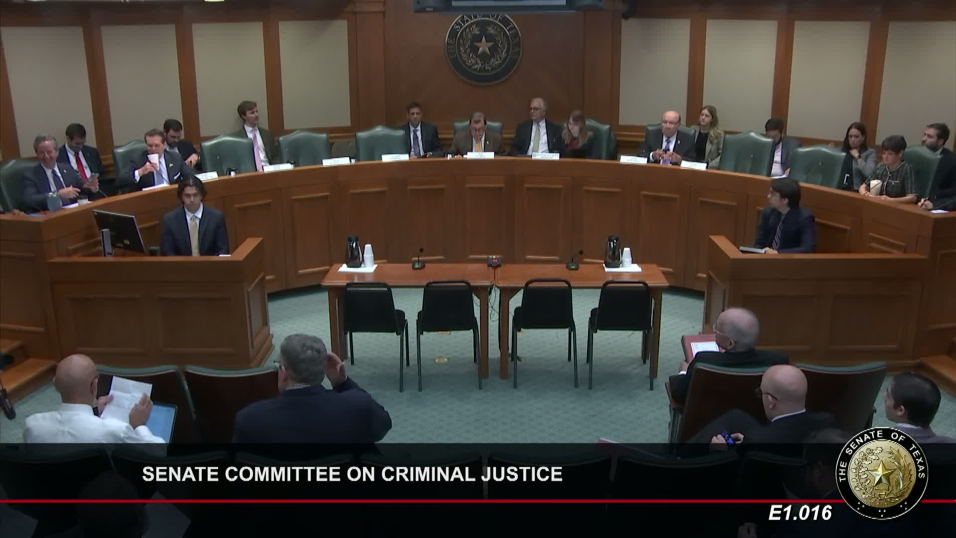 Texas Senate committee reviews public safety bills including juvenile records and self-defense reforms