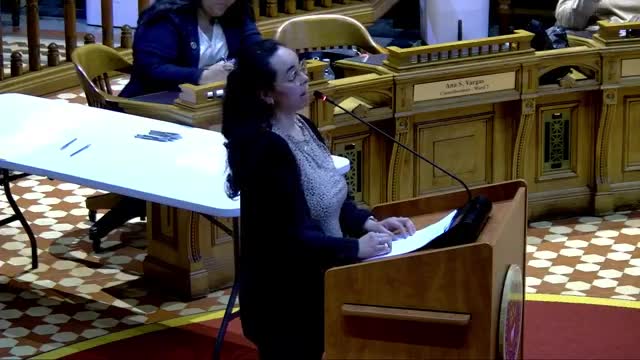 Providence residents voice opposition to proposed property tax hike and noise cameras