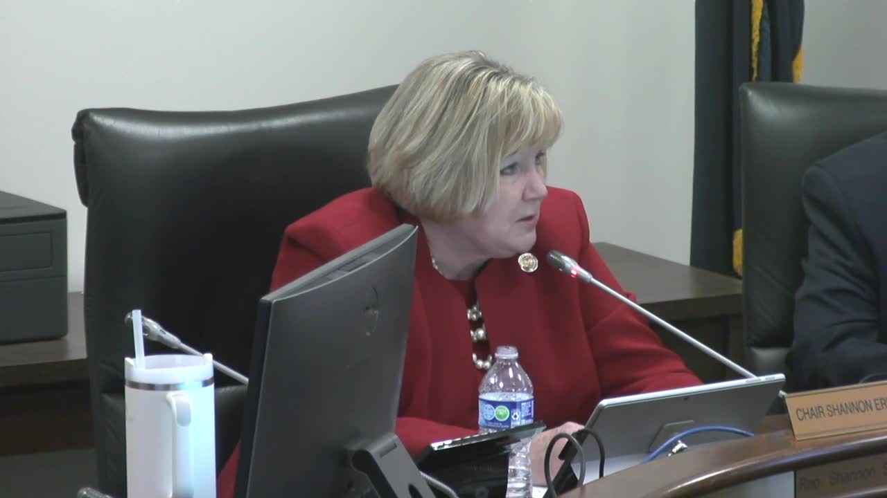 Kevin Shweto highlights DMV challenges and salary concerns before South Carolina lawmakers