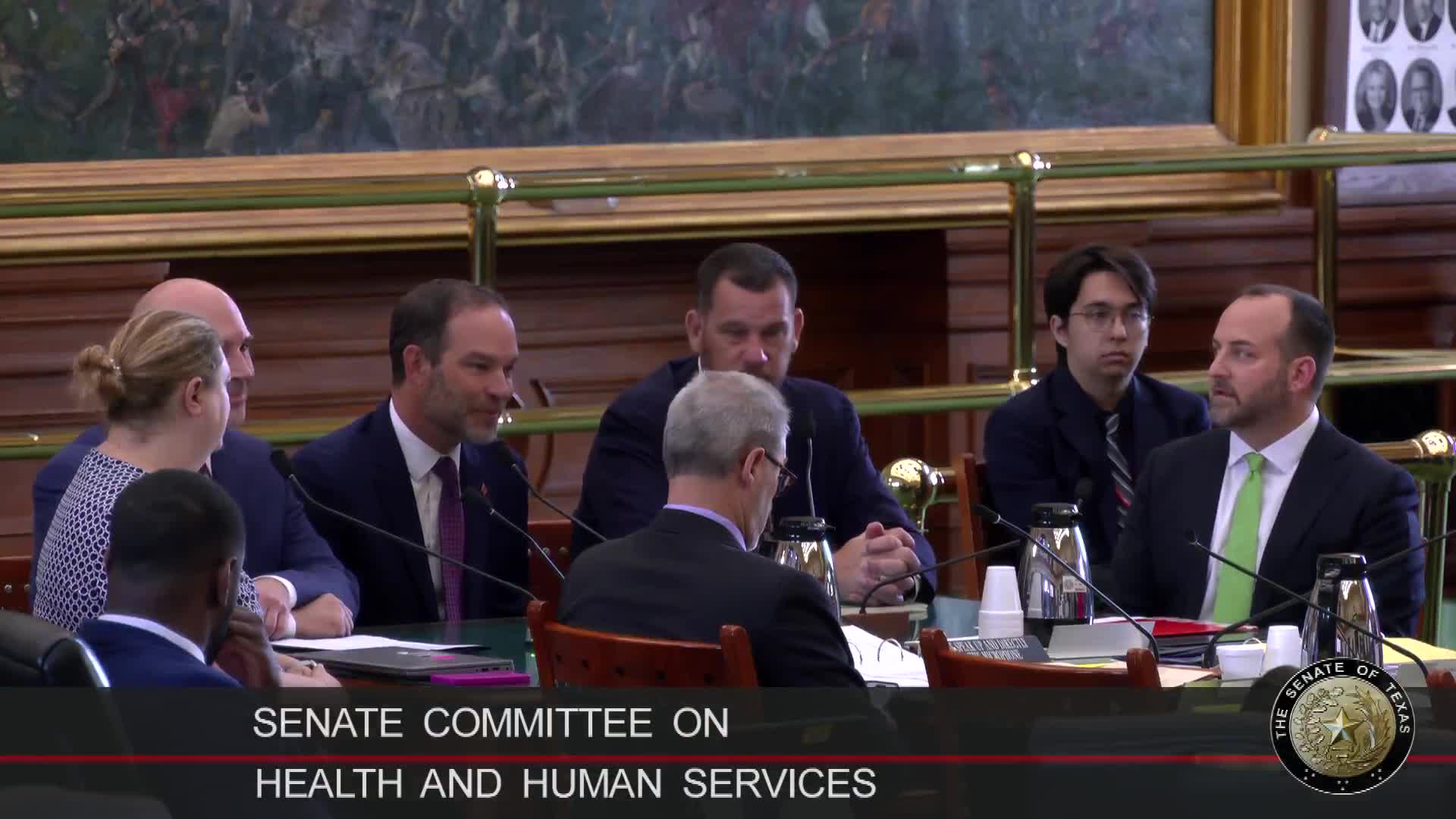 Senate Panel Discusses Rural Texas Healthcare Challenges and Grant Funding Strategies