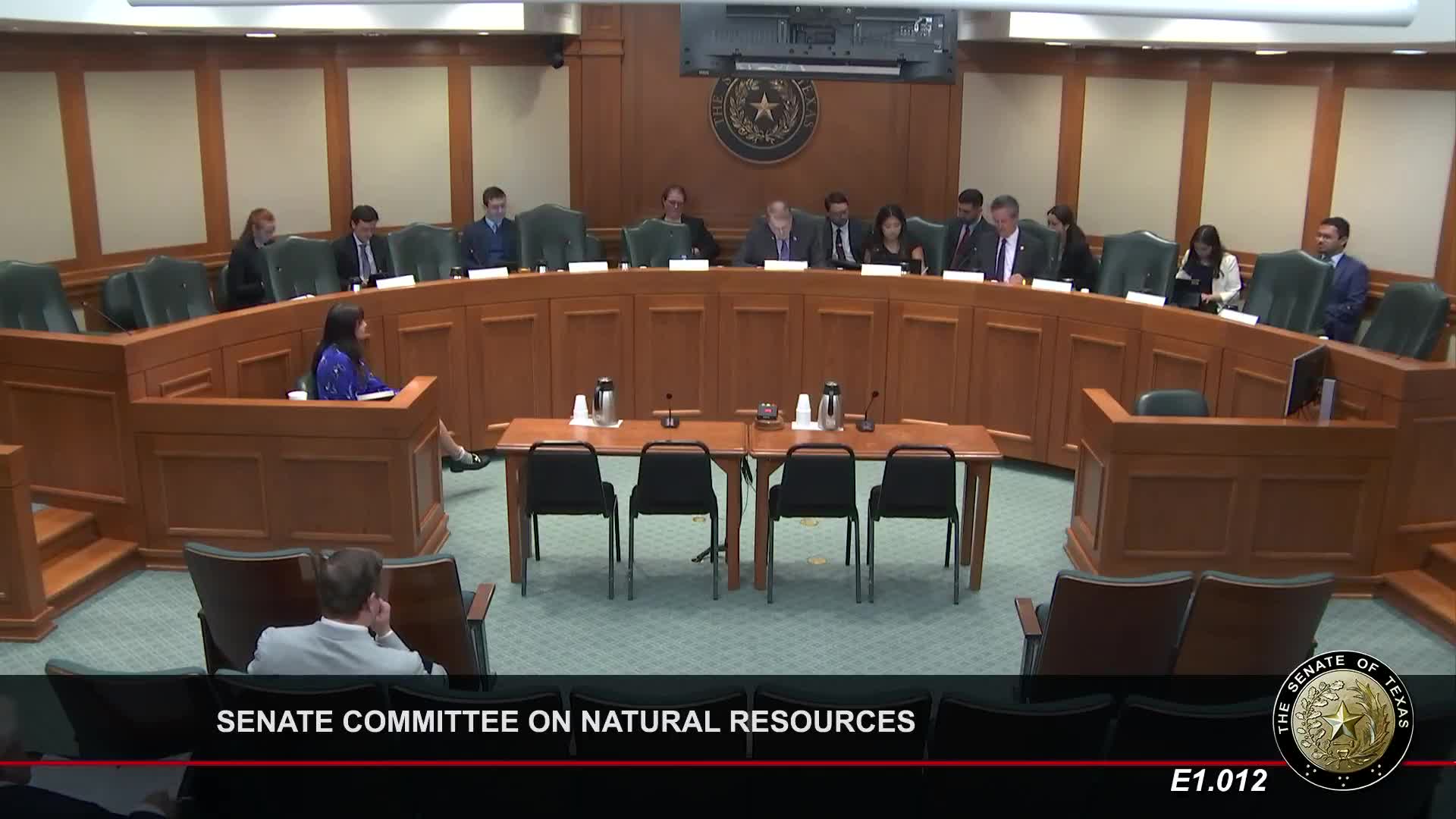 Texas House Committee Supports HB206 to Eliminate Cash Bond for Pipeline Approval