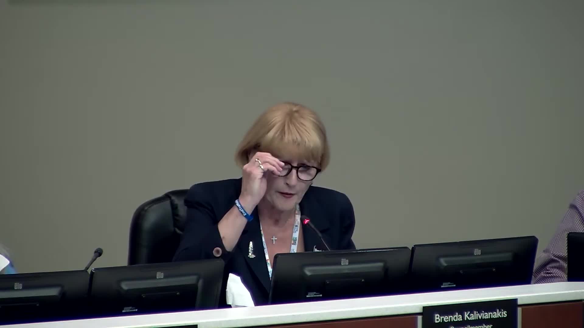 Fountain Hills Council seeks volunteers for meal delivery and medical transport programs