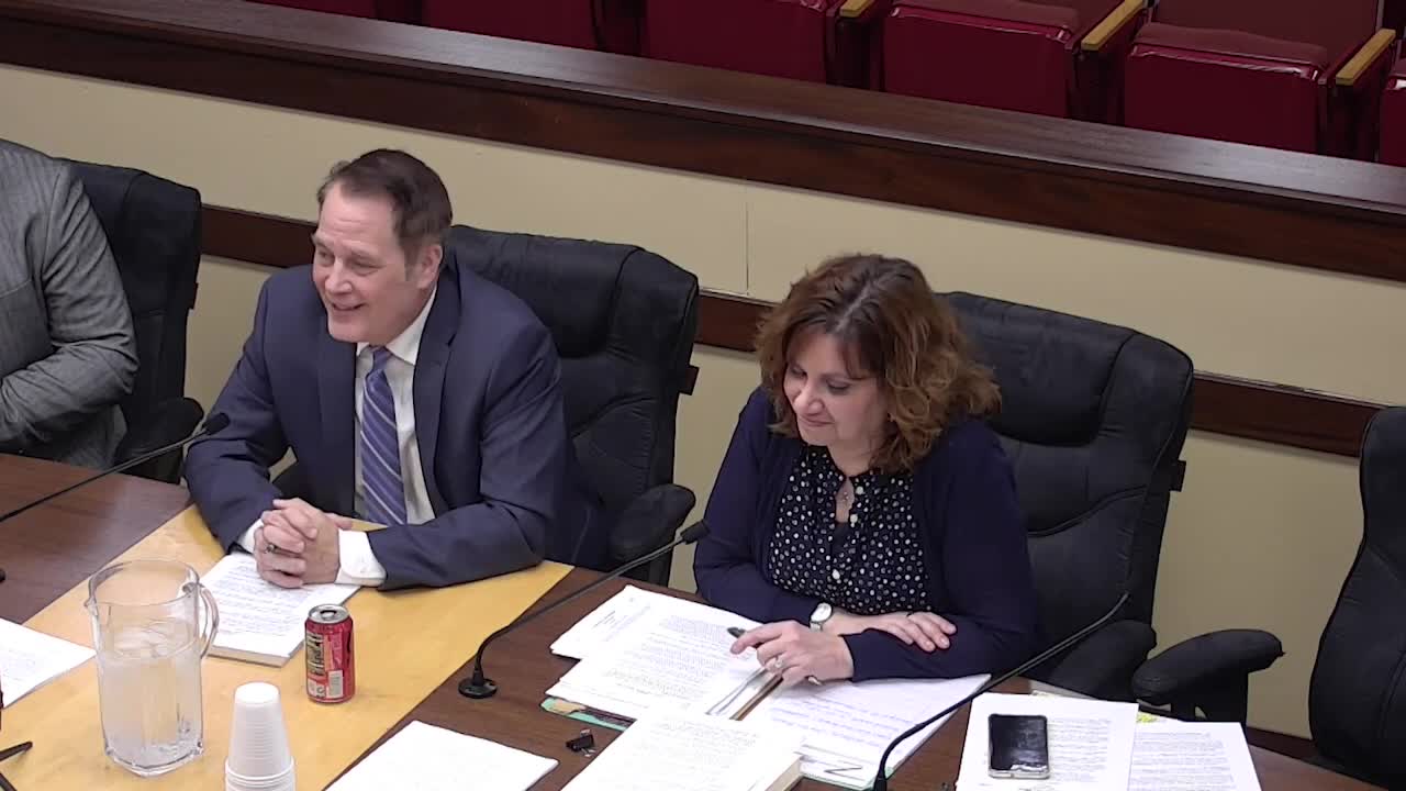 citizenportal-ai-minerva-council-reviews-short-term-rental