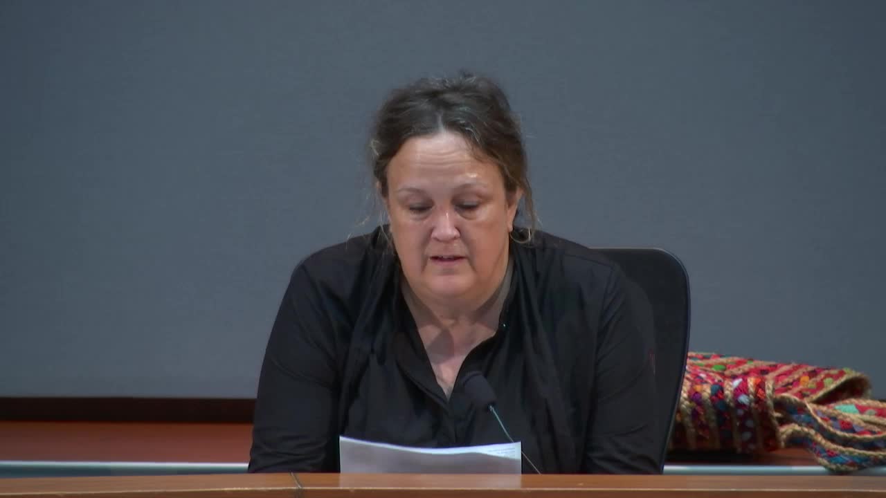 Centennial High School student urges Ellicott City Council for urgent renovations