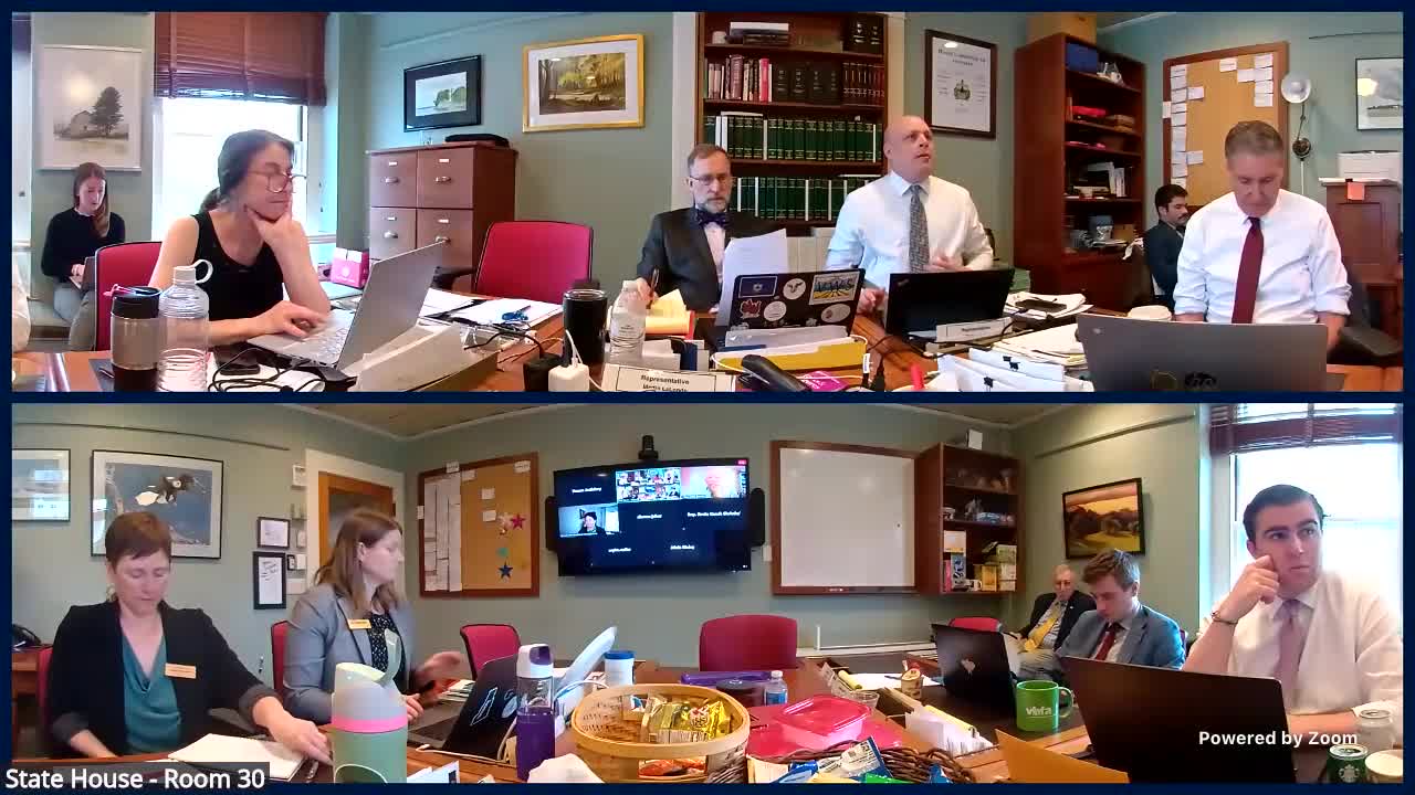 Vermont Legal Aid discusses standby guardianship criteria amid immigration concerns