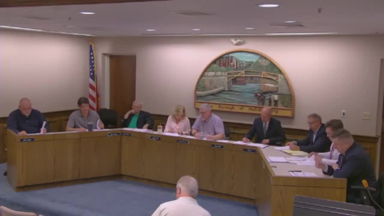 Council seeks state assistance for stormwater project amid preservation requirements