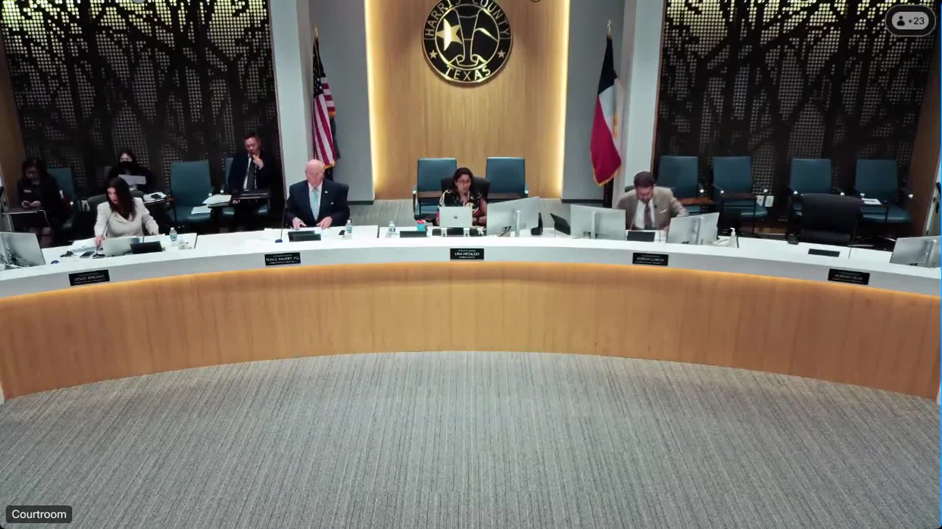 Barbara Denson criticizes Harris County spending on climate conferences