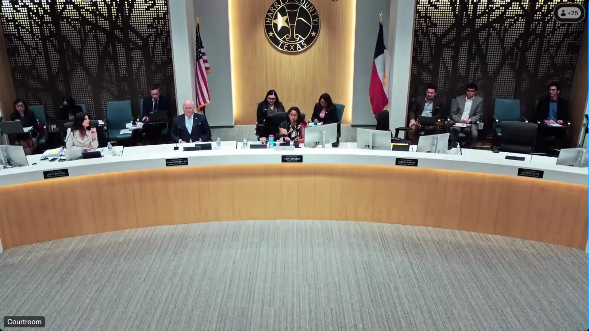 Nikkia Sims Advocates Youth Services and Reduces Recidivism at Harris County Meeting