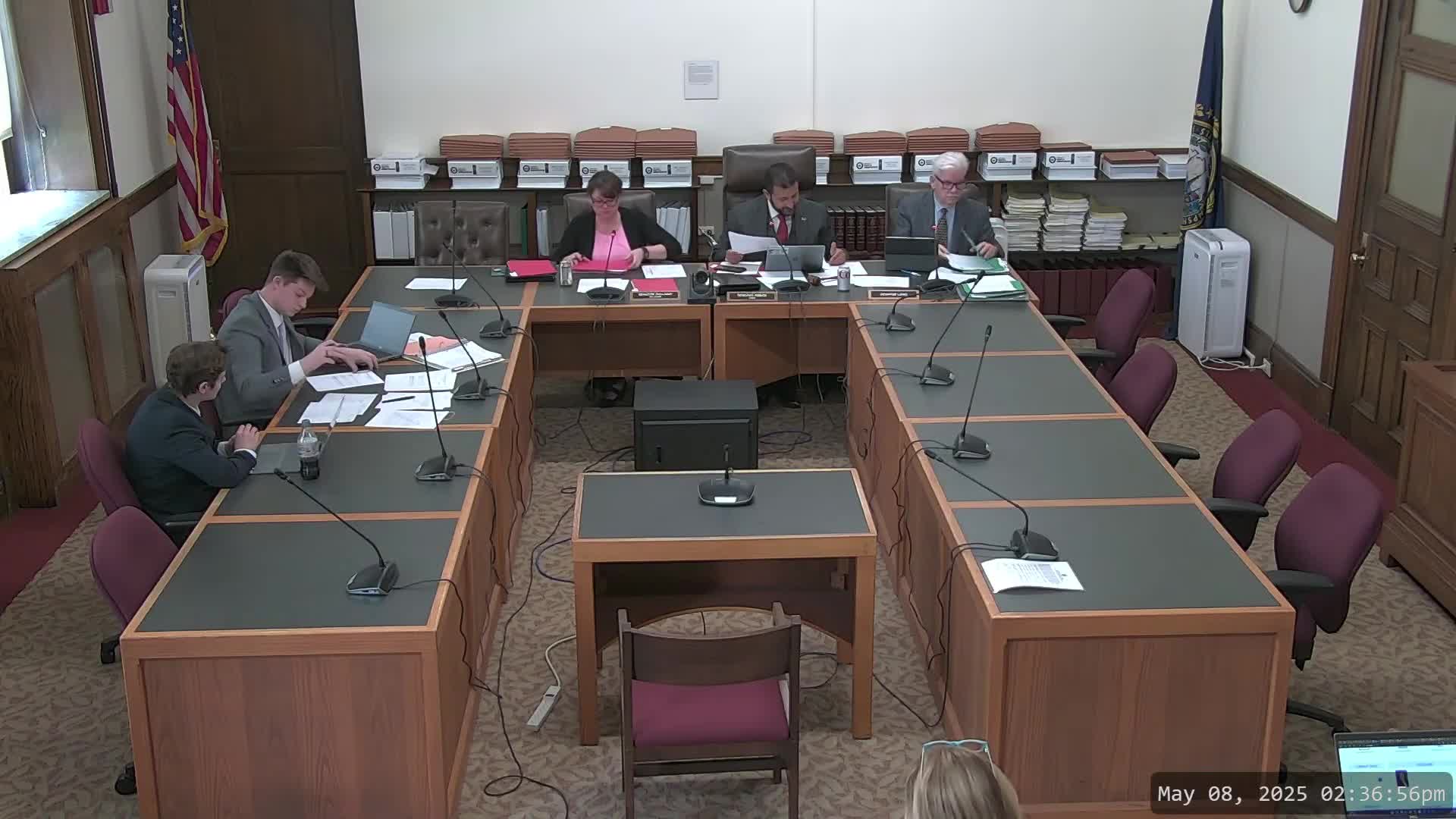 Committee debates grandparent visitation rights amid custody concerns