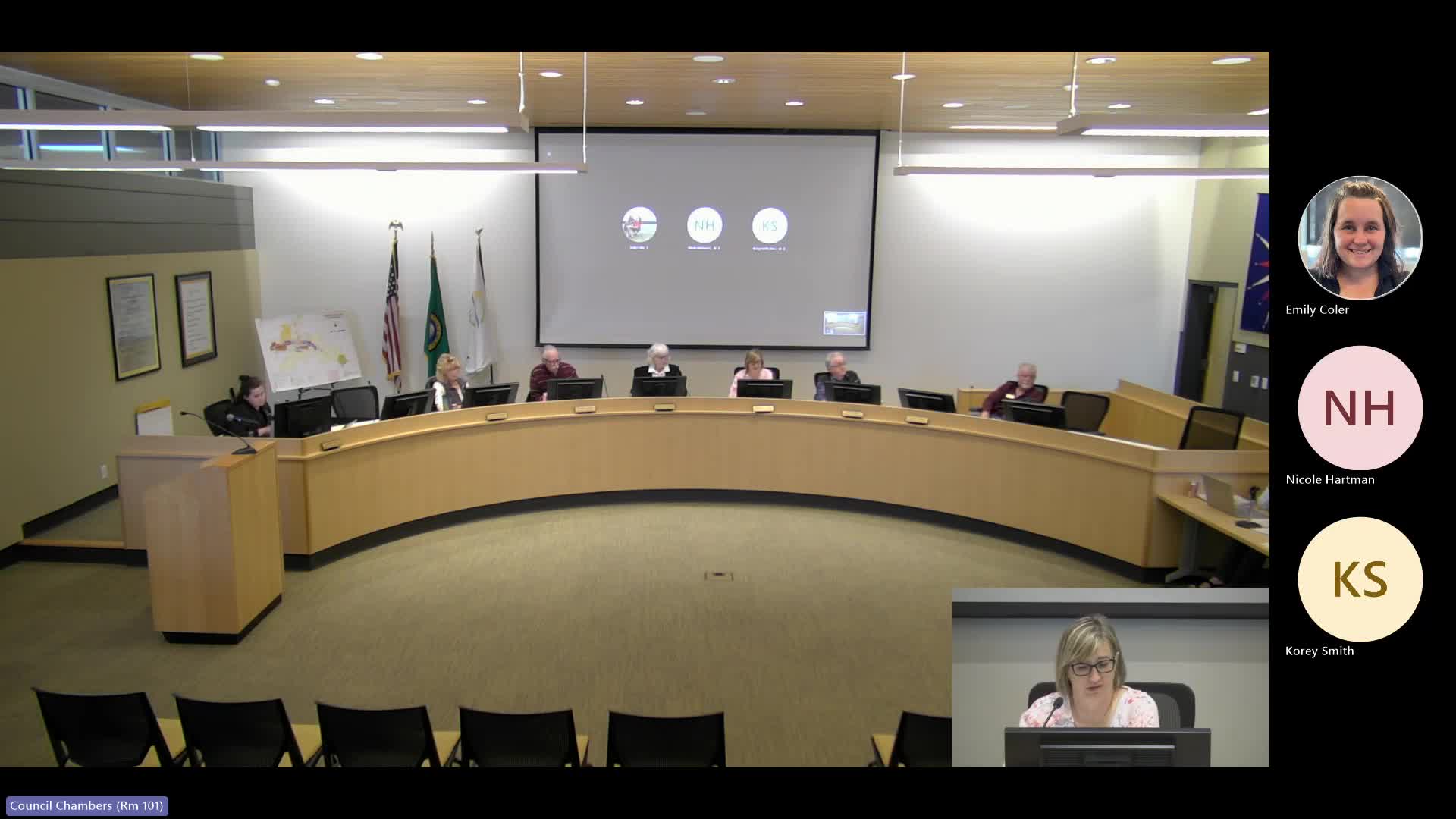 City Council confirms mixed-use hubs in Washington Avenue vision statement