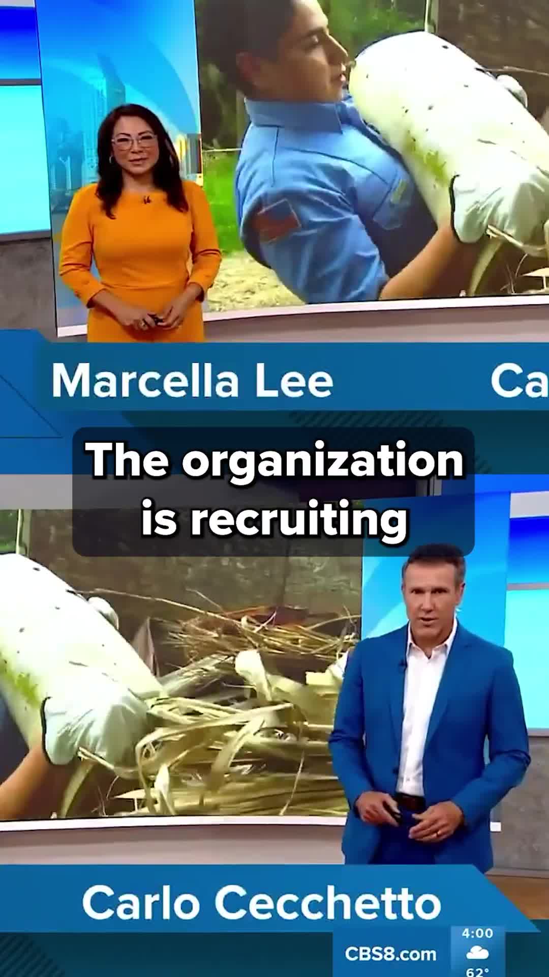 California Service Corps seeks 10000 recruits for community service roles