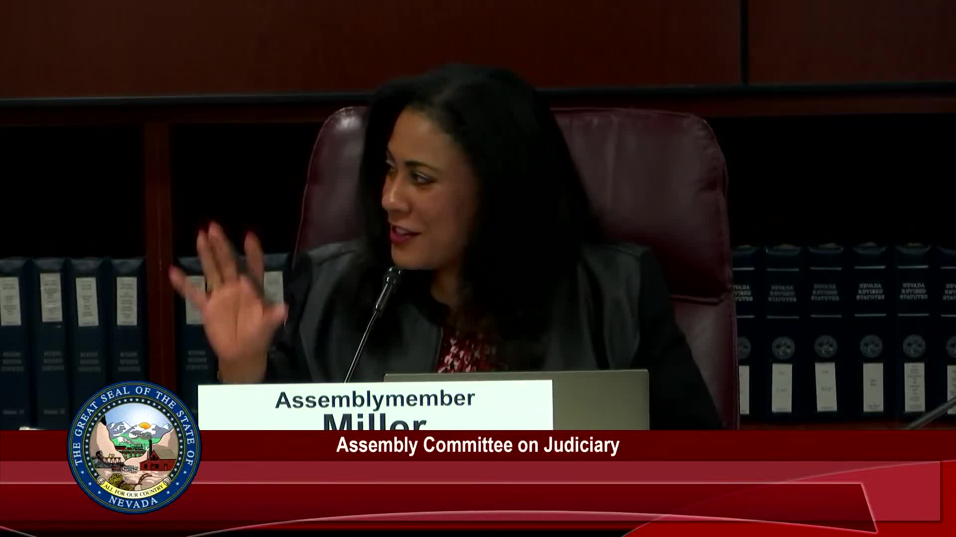 Nevada Senate Considers Bill 140 to Expand Diversion Court for Neurobehavioral Disorders