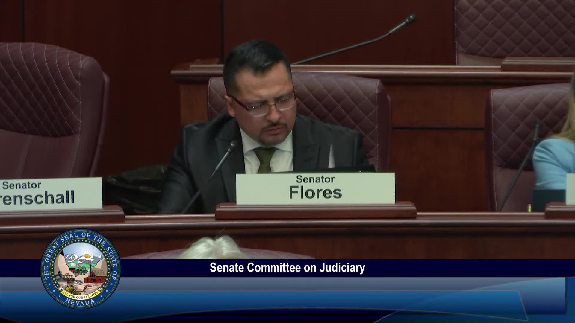 Nevada Senate discusses AB 193 for free police reports for domestic violence victims
