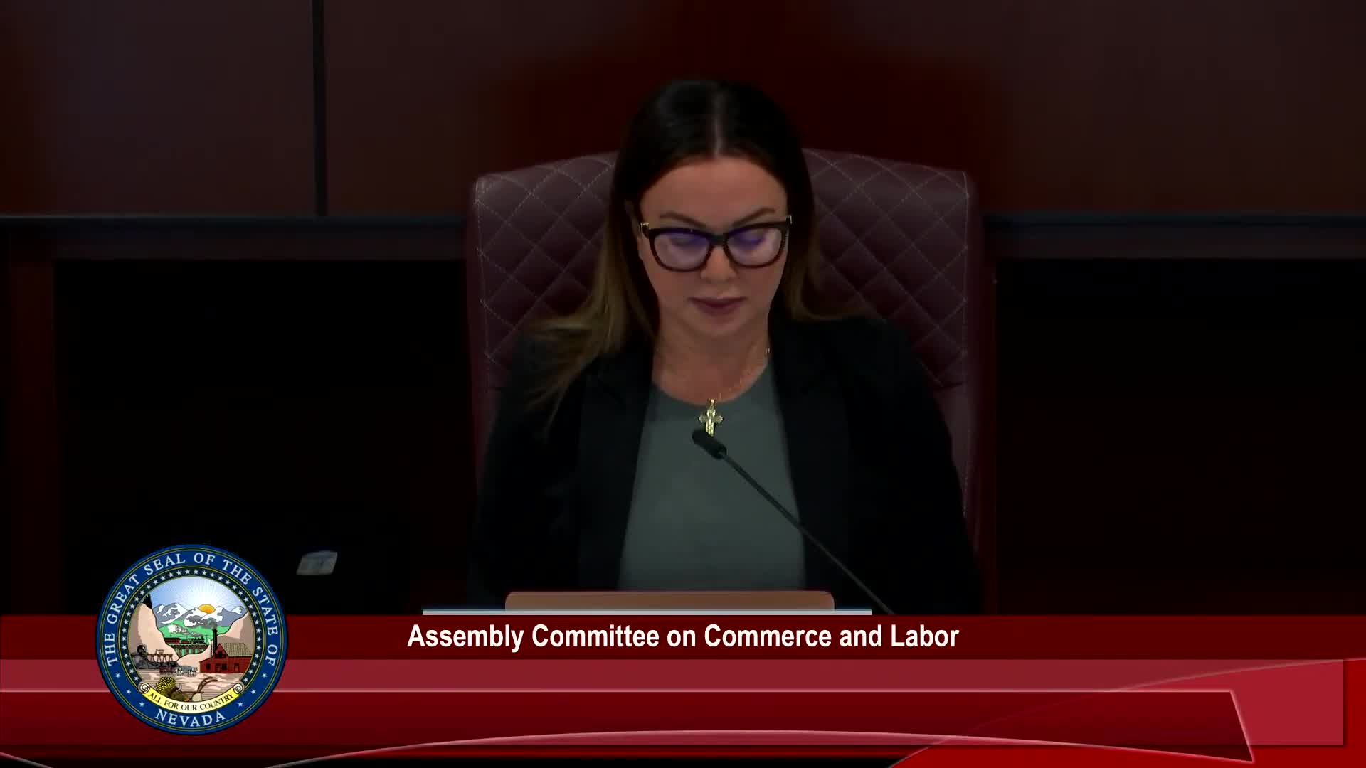 Senator Donate advocates for Senate Bill 124 to ease licensing for international medical graduates