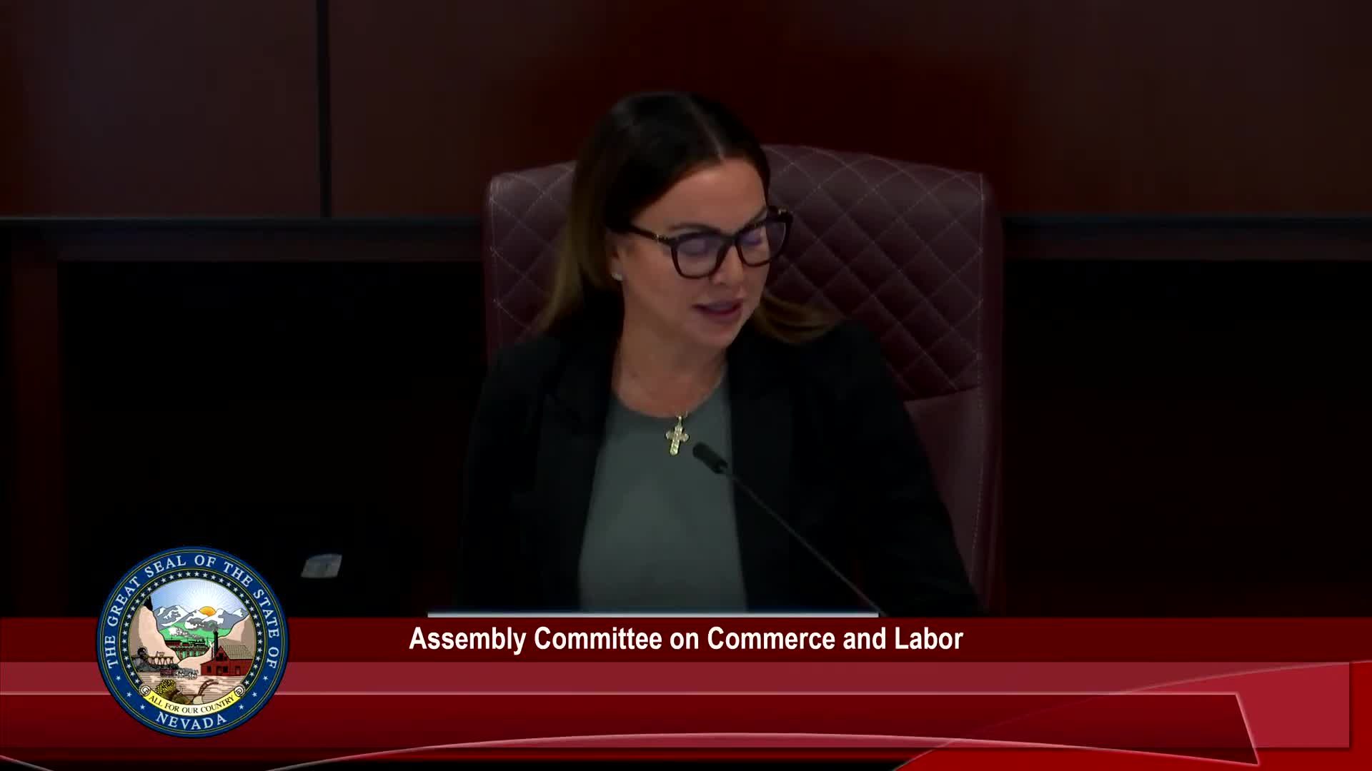 Senator Schiavo proposes SB 251 to expand Nevada's behavioral health workforce
