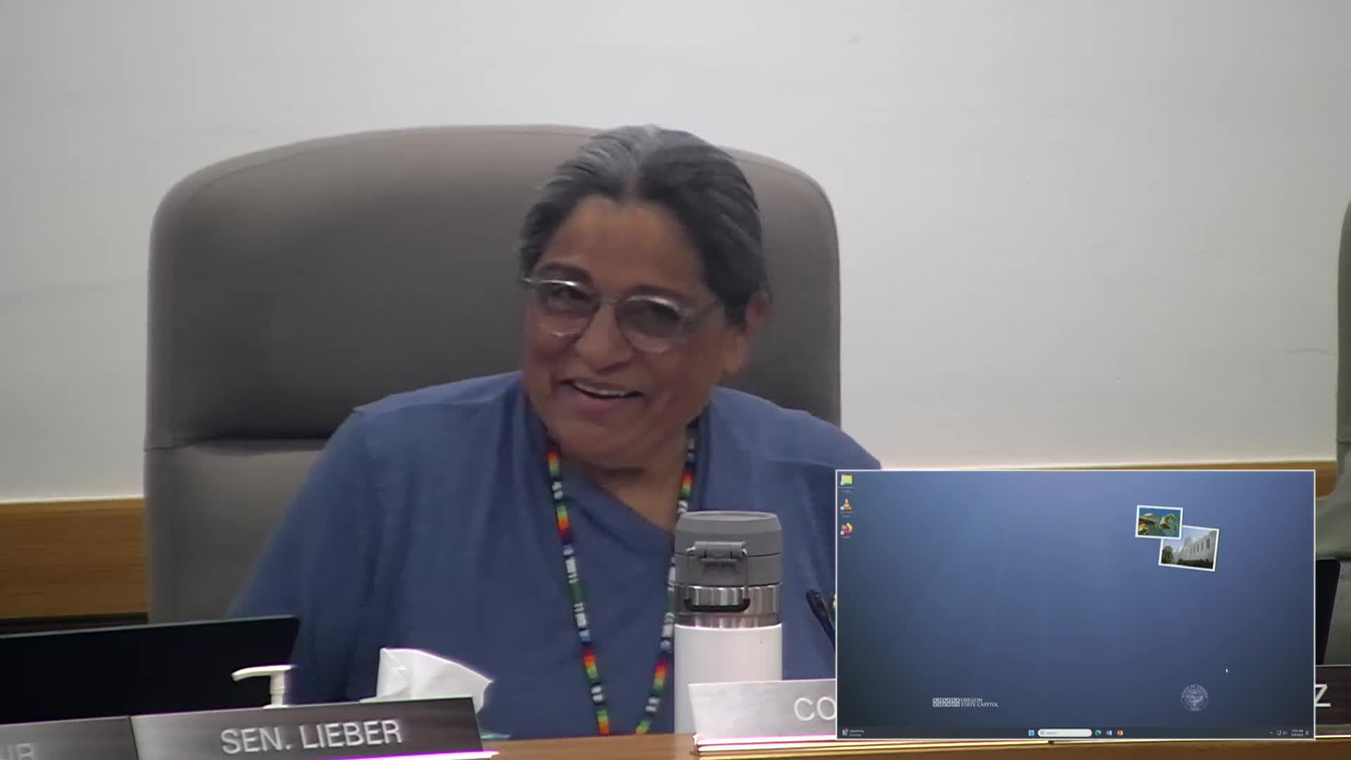 Legislative subcommittee backs $1 million accounting scholarship, cuts board reserves