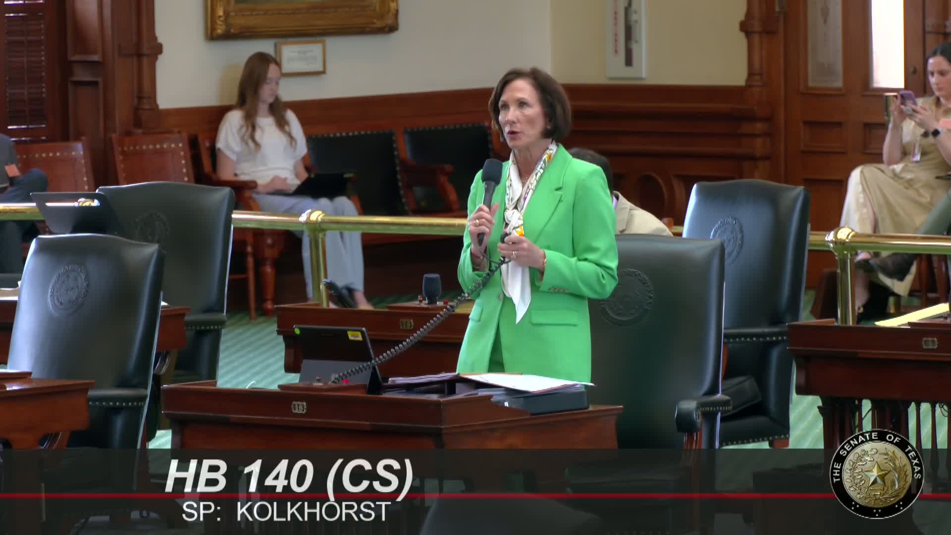 Senate approves advisory committee for DFPS child-protection investigations (House Bill 140)