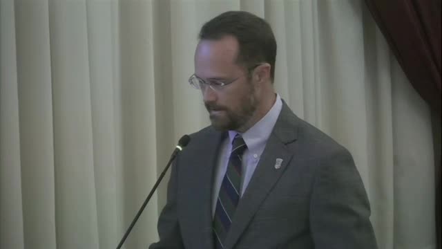 City Council reviews Avenue De Menendez Seawall improvement plans