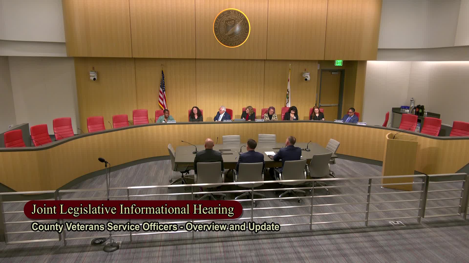 Veterans panel convenes to discuss service access for military community