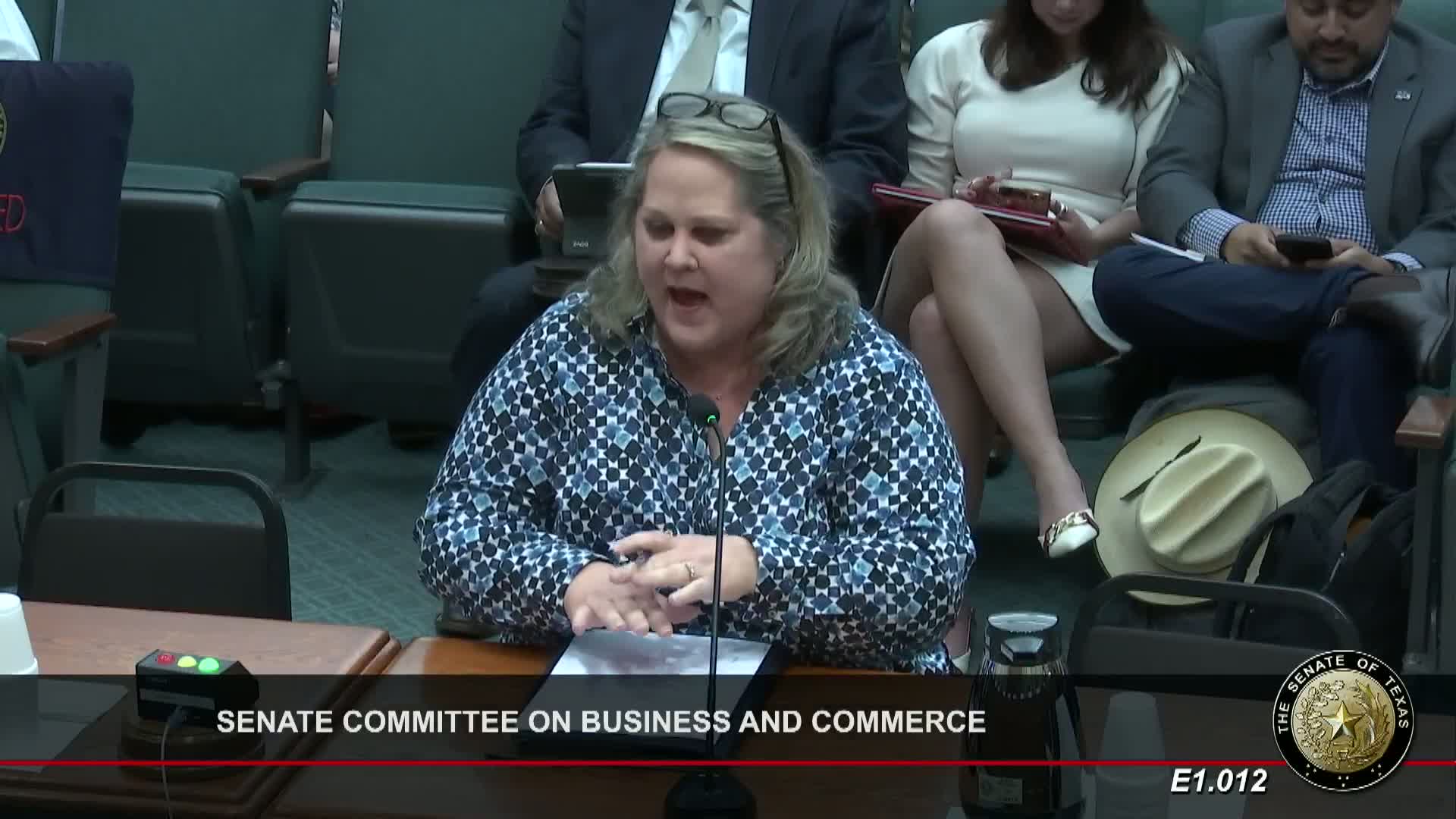 Texas House Reviews Multiple Bills Addressing Banking Regulations and Public Information Requests