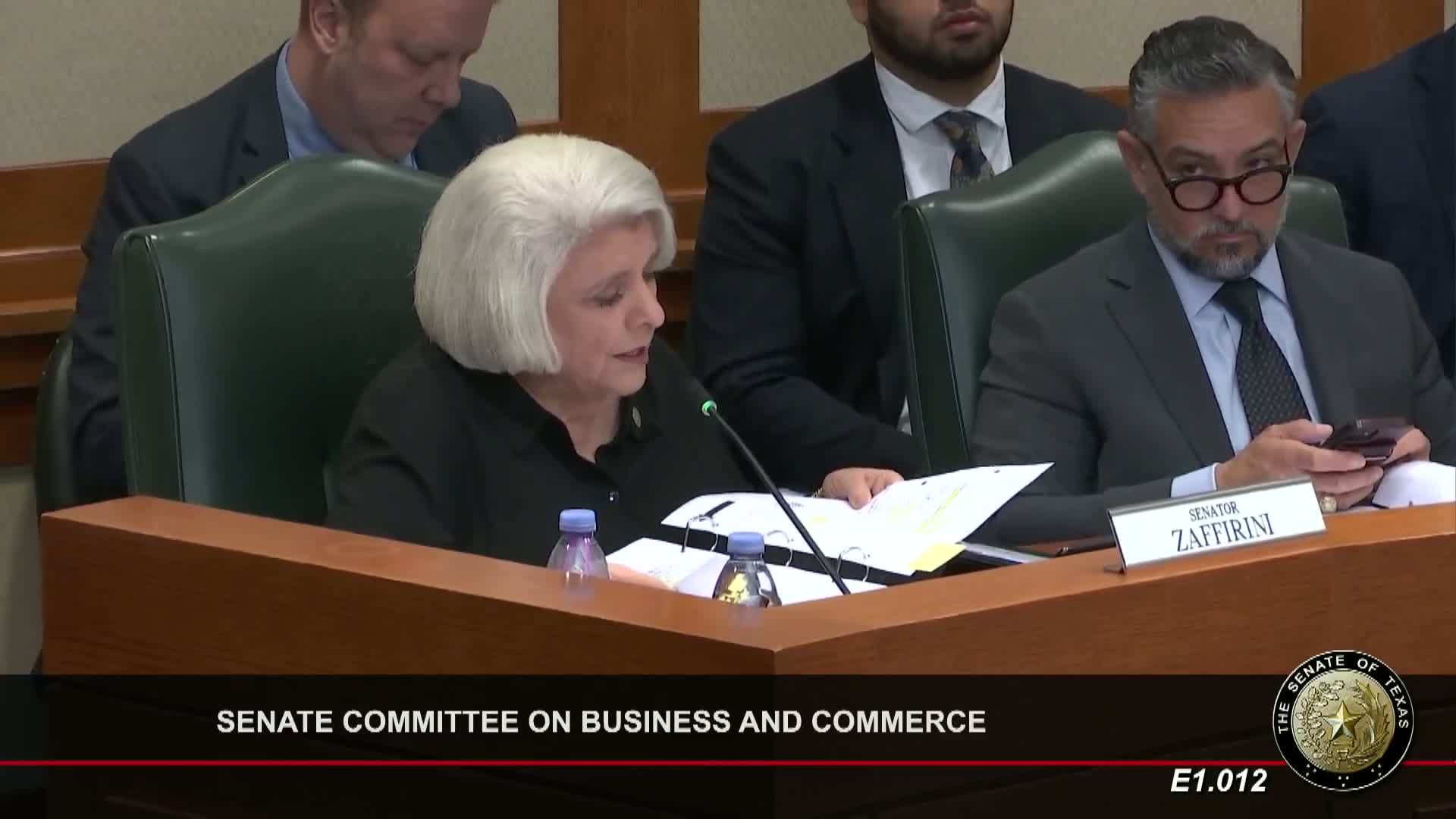 Texas House Bill 4219 Introduces Stricter Transparency Measures for Public Information Requests
